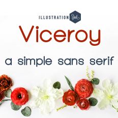 PN Viceroy Bold