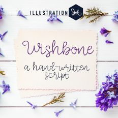 PN Wishbone Light