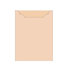 Wedding Invitation Pocket Card