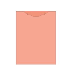 Wedding Invitation Pocket Card