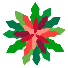 Poinsettia