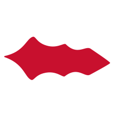 Poinsettia Leaf