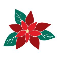 Poinsettia