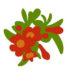 Pomegranate Bouquet 1