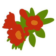 Pomegranate Bouquet 2