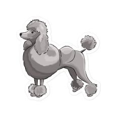Poodle