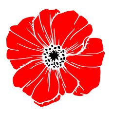 Poppy Flower