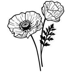 Poppy Pair