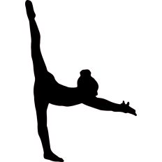 gymnast leg raise