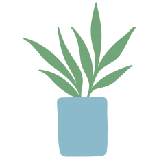 Potted House Plant