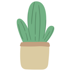 Potted Cactus
