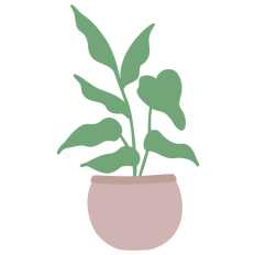 Potted House Plant