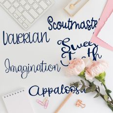 Pre-SCRIPT-ion Font Bundle
