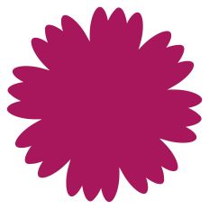 Simple Ruffled Carnation Flower Petals Shape