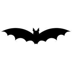 Spooky Bat