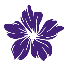 Primrose Flower
