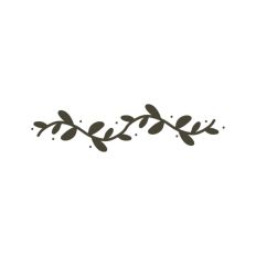Botanical Vine Leaf Branch Tree Stem Floral Pattern Border Line