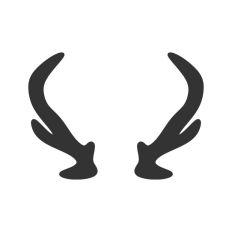 Set of Antlers