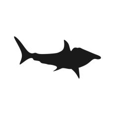Shark Silhouette 