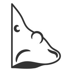 Witch Nose Warts Halloween Line Drawing
