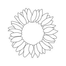 Sunflower Line Drawing