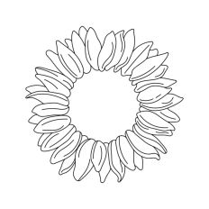 Sunflower Outline