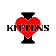 I Love Kittens