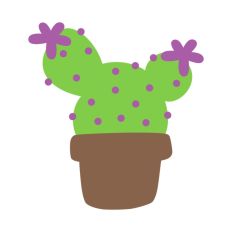Blossoming Cactus Plant Pot