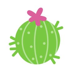 Ball Cactus