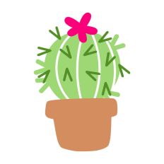 Spikey Ball Cactus in Plant Pot