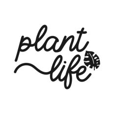 Plant Life Tropical Leaf