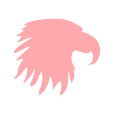 Eagle Hawk Head