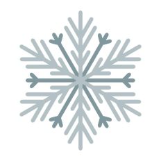 Snowflake Snow Winter Christmas