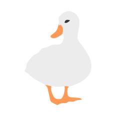 Cute Duck