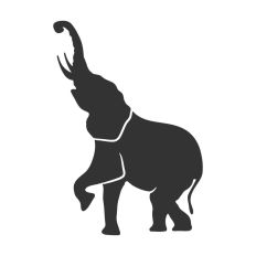 Elephant Trunk in Air