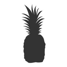 Pineapple Silhouette