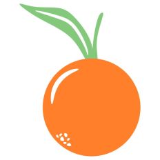 Orange with Leaves Citrus Fruit