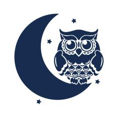 Owl On Moon