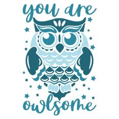 You Are Owlsome