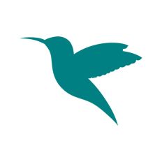 Hummingbird Silhouette
