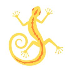 Lizard Gecko