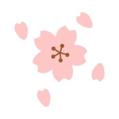 Cherry Blossom