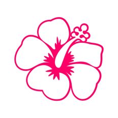 Hibiscus Flower