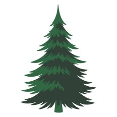 Pine Tree Forest Winter Spruce Christmas
