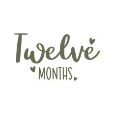 12 Twelve Months One Year Baby Milestones First Year Newborn