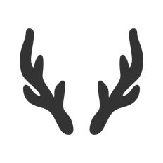 Pair of Antlers