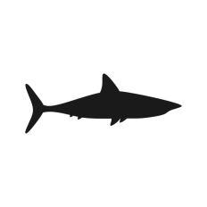 Shark Silhouette 