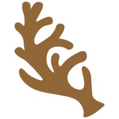 Reindeer Buck Stag Deer Antler Christmas Santa Sleigh