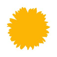 Sunflower Head Shape