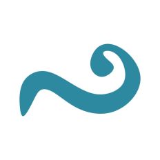 Curly Flourish Wave